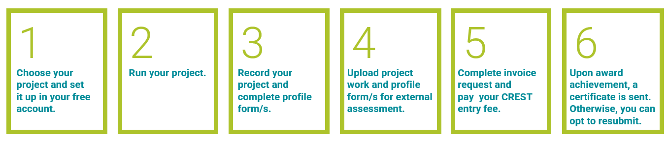 Silver Award process